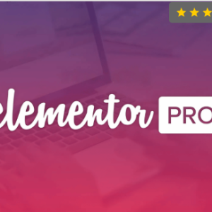Elementor Pro